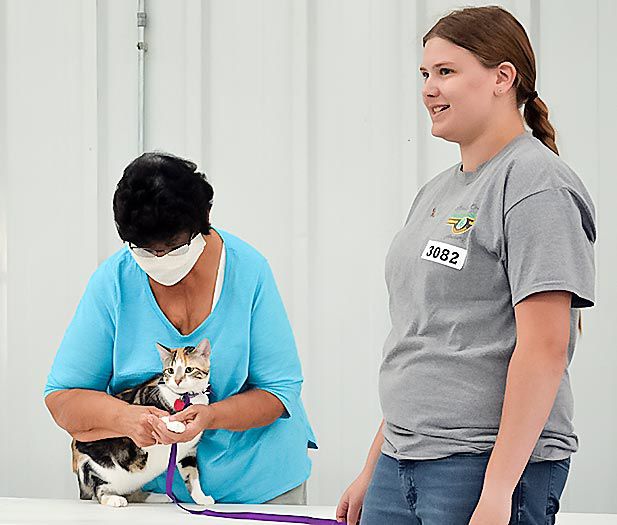 4-H/FFA showcase